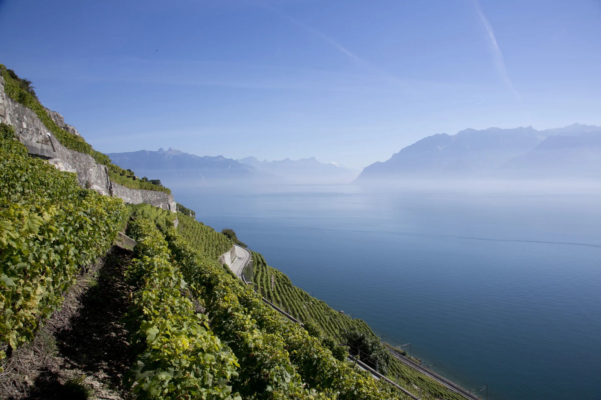 Lavaux vineyard terraces above Lake Geneva, Switzerland